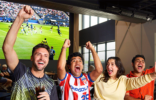 World Cup